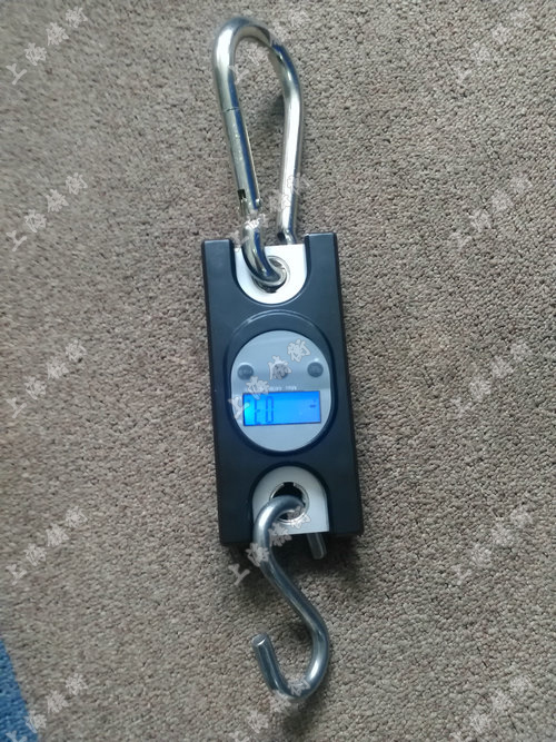 無(wú)線測(cè)力計(jì)